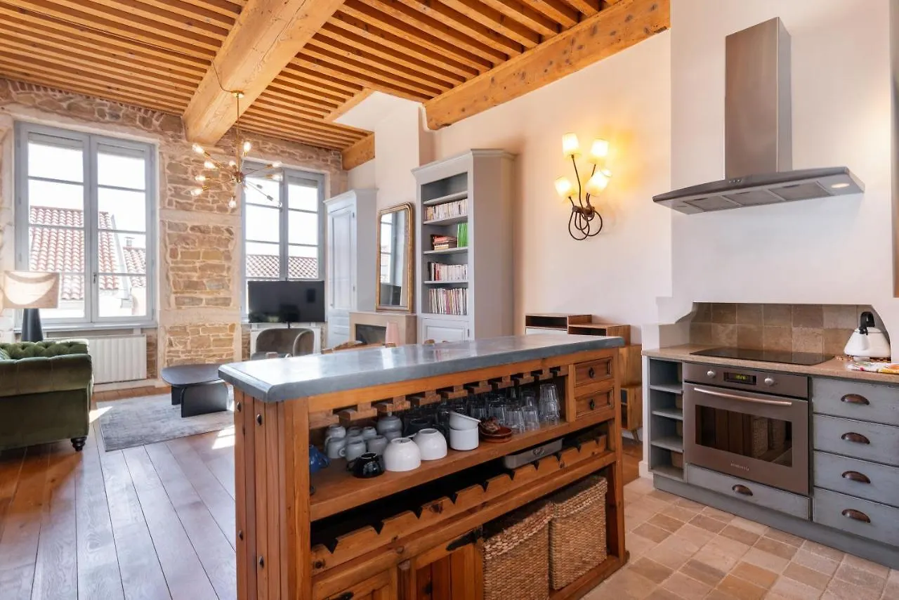 Le Cocon Pacome Les Autres Apartment Lyon