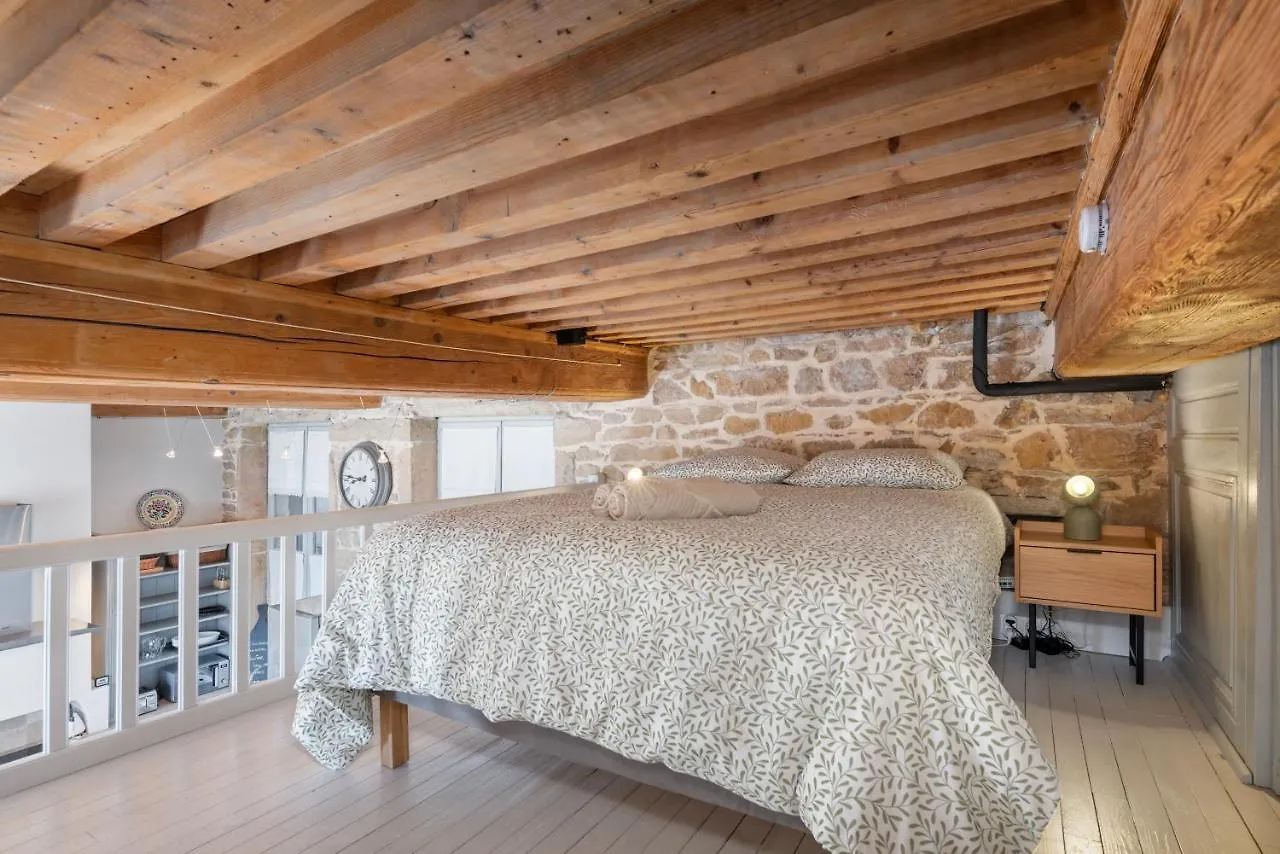 Le Cocon Pacome Les Autres Apartment Lyon